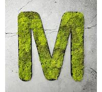 Mousse d'Islande - lettre M/vert vif