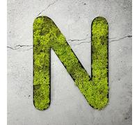 Mousse d'Islande - lettre N/vert vif
