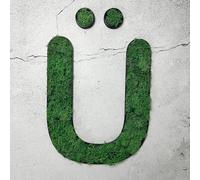 Mousse d'Islande - lettre Ü/vert gazon