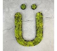 Mousse d'Islande - Lettre Ü/Vert vif