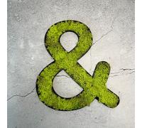 Mousse d'Islande - pictogramme ET vert printemps