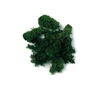 Mousse d'Islande, vert foncé