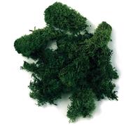 Mousse D'islande, Vert Foncé, 30 G