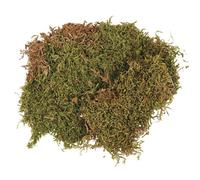 Mousse en plaque - Rayher - 100g - Vert - Décorations florales - Crèche de Noël