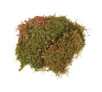 Mousse En Plaque, Séchée, 100 G