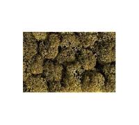 Mousse NOCH 8600 gris roche