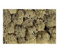 Mousse NOCH 8600 gris roche