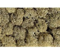 Mousse NOCH 8600 gris roche