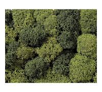 Mousse NOCH 8621 vert clair, vert foncé