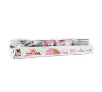 Mousse pour chatons - Royal Canin - Mother and Baby Cat - 12X195g - Soutien immunitaire - Développement cérébral