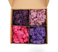 Mousse préservée de 4 couleurs, 4 couleurs, total 397 g de chaque couleur, 99,2 g, mousse colorée pour travaux manuels, mur de mousse, décoration artistique de bureau à domicile, violet