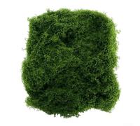 Mousse réaliste pour décoration créative, 50 g/100 g/200 g, parfaite pour les travaux manuels de Pâques et les jardinières d'intérieur (50 g)
