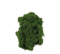 Mousse synthétique pour travaux manuels, aménagement paysager, jardinières, couronnes, dioramas, terrariums, modélisation 3D et décorations de table de mariage (vert foncé)