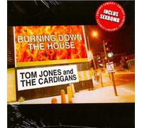 Mousse T - Burning Down The House