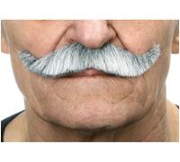 Moustache Anglaise Aux Cheveux Gris Multicolore