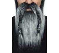 Moustache Avec Barbe Grisonnant Multicolore