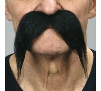 Moustache Chinoise Noire Multicolore