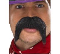 Moustache noire bandit mexicain adulte