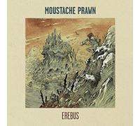 Moustache Prawn - Erebus