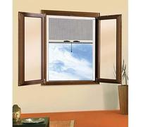 Moustiquaire à rouleau Flash pour fenêtre 80 x 160 cm couleur blanc RAL 9010, Grille Anti Insecte