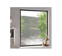 Moustiquaire pour fenêtres Anthracite 100x120 cm, moustiquaire de fenêtre, moustiquaire de fenêtre,, moustiquaire de 153840