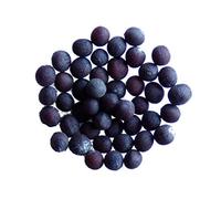 Moutarde Brune - 40 grammes - Brassica Juncea (Engrais Vert) SEM05