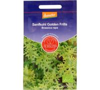 Moutarde Indienne "Golden Frills" - 2 g