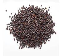 Moutarde noire en graines - Sachet de 250 g