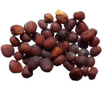 Moutarde Noire NT - Brassica Nigra (Engrais Vert) SEM27 (Variété Opaleska : 3 grammes)