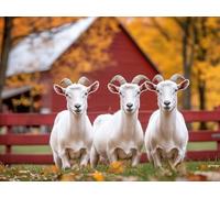 Mouton Diamond Painting Adulte, Diamond Painting Ferme Peinture Diamant Débutant 5D DIY Complet Broderie Diamant Strass Point de Croix Loisirs Créatifs pour Decoration Murale 40 x 30 cm -zjn25011SL