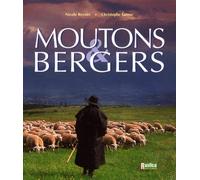 Moutons et bergers