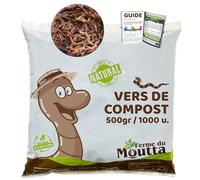Moutta | 500gr de Vers de Compost (≃ 1000 pcs) | Vers de terre vivants Eisenia, compostez vos déchets organiques - Pour lombricomposteur/composteur/jardin