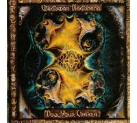 Move Your Chakra! by Vladiswar Nadishana (2010-01-01)