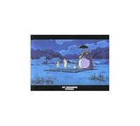 Movic My Neighbor Totoro 646893 Chemise transparente Format A4
