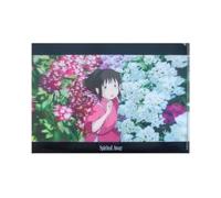 Movic Spirited Away 647029 Classeur A4 Transparent