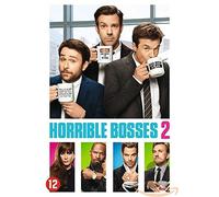 Movie - Horrible Bosses 2