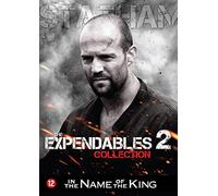 Movie - In the Name of the King