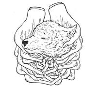 Mister Lies - Mowgli