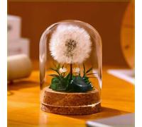 Moxiewell Pissenlit dans Un Verre, Idée de Cadeau Spéciale, Décoration de Pissenlit, Cadeau Décoratif dans Un Verre pour Saint-Valentin Anniversaire Fête des Mères Mariage Noël Maman Grand-Mère