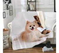 MOXINO 3D Yorkshire Terrier Couverture Polaire 150x200 cm Yorkshire Terrier Plaid Couverture Chaude Douce Confortable Microfibre Sherpa Blanket Jeté de Canapé Couvre Lit 2 Personnes（Motif 132-12）