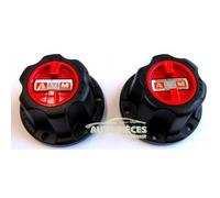 MOYEUX RENFORCES MOYEU AVM DEBRAYABLE MANUEL SANTANA S300 S350 2.0 Hdi AVM AVM73