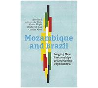 Mozambique And Brazil: Forging New Partnerships Or Developing Dependency?