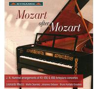 After Mozart/Concerto pour Piano en Si Bemol Majeur K 456