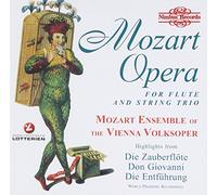 Mozart Opéra for Flûte and String
