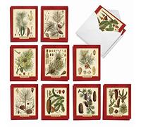 Mp-xsmn-plant plantes 1 carte Mini Note de Noël Définit la meilleure carte Entreprise en période de papeterie Pining for Christmas AM9627SGG-B2x10