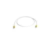 Câble de raccordement réseau informatique RJ45 (croisé) Telegärtner 100008271 CAT 6a S/FTP gris 2.00 m