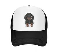 MPBGAOGP Casquette de Baseball pour Hommes, Casquette de Baseball Teckel personnalisée pour Hommes Femmes Respirant Badger Saucisse Wiener Chien Trucker Chapeau Extérieur Snapback Dad Hats,Cadeau