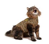 MPS Medical Pet Shirt pour Chats, Imprimé Léopard, XXS