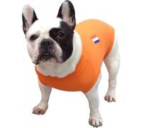 MPS Medical Pet Shirt pour Chiens, XXXS, Orange