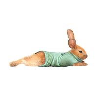 MPS Medical Pet Shirt pour Lapin, Vert, XXS